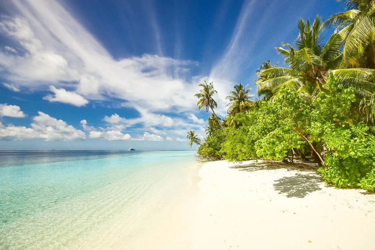 A beautiful landscape of island with green coconuts in white beach sand surrounded by blue ocean