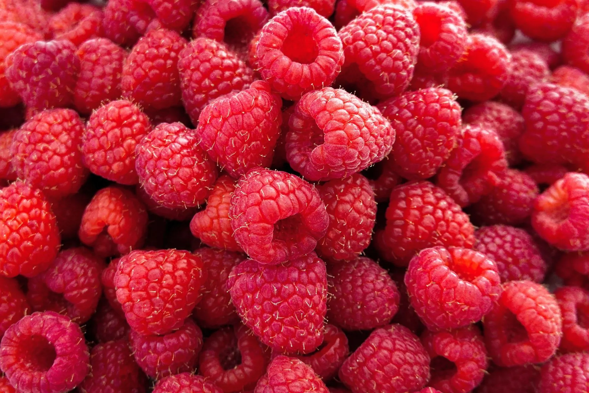 produce To construct ring 135 Raspberry Nutrition Facts: Do You Include Them In Your Daily Diet? |  Kidadl