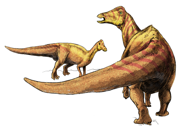 Equijubus is a type of duck-billed dinosaur.