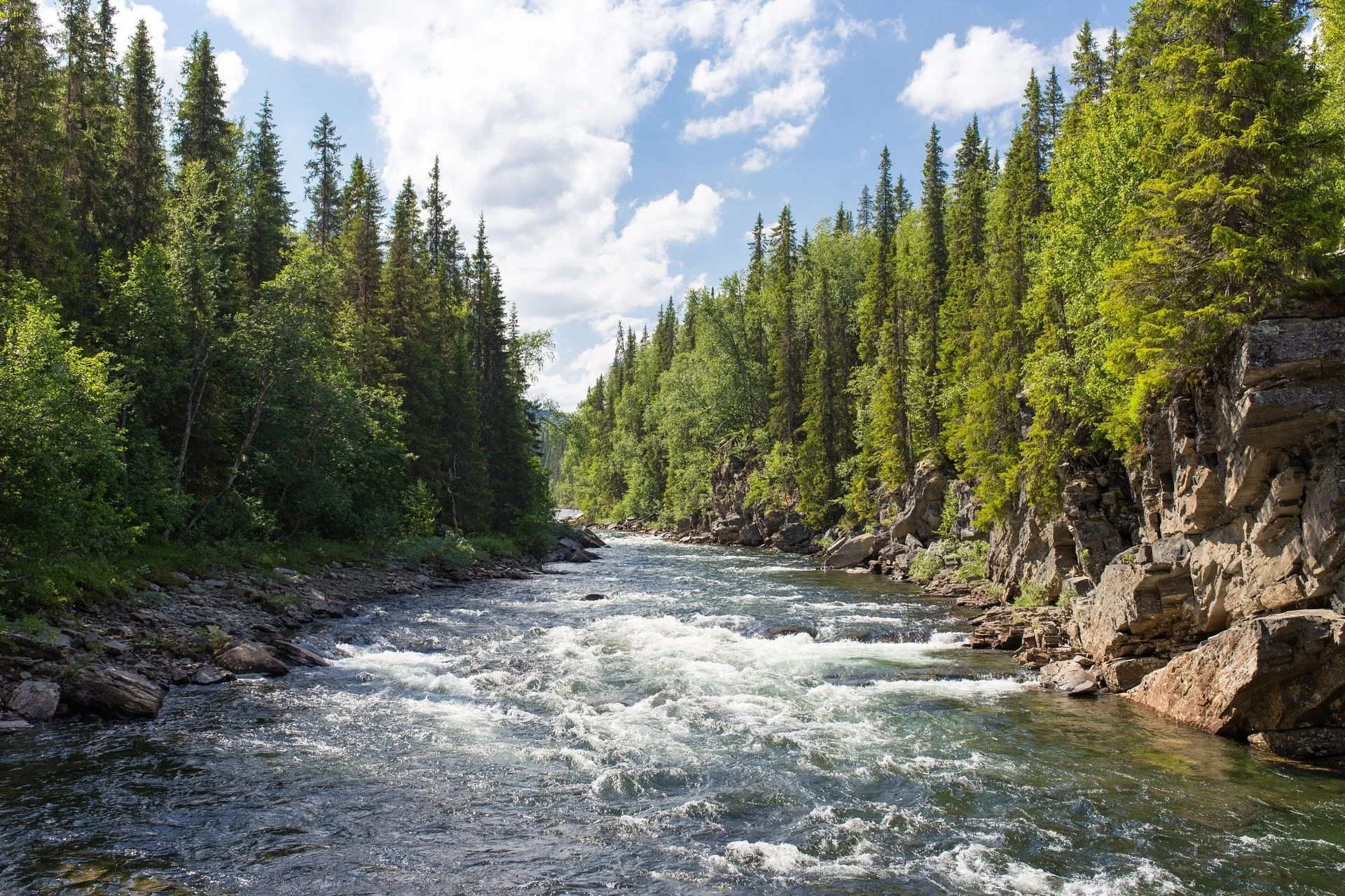 The currents in a river can be powerful enough to even pick up and move large items like cars! Learn more such fun facts on rivers in this article.