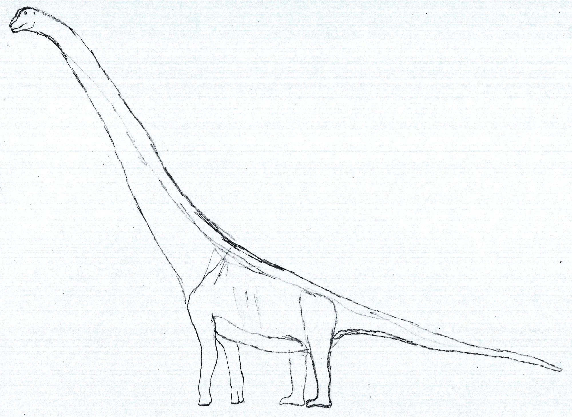 Heber Longman described the Austrosaurus in the year 1933.