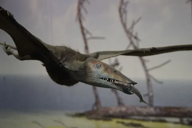 These animals were some of the earliest birds in the world.