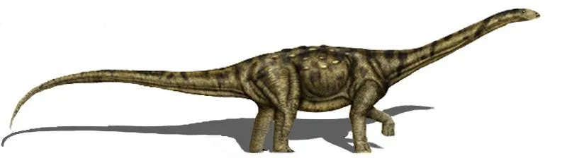 Adamantisaurus was a herbivore dinosaur.