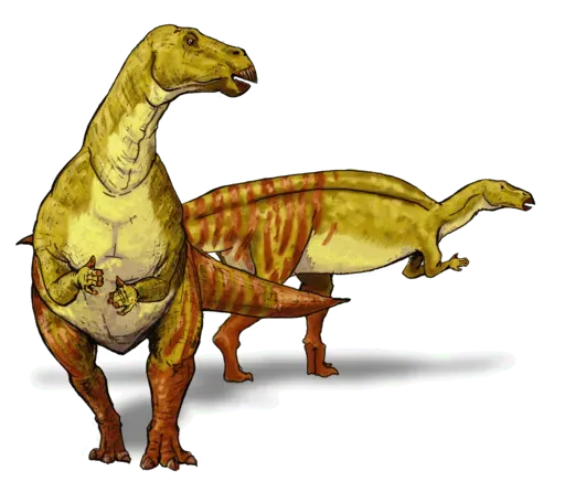 This is a picture of a Sauropod, they were known to be related and belong to the same class.
