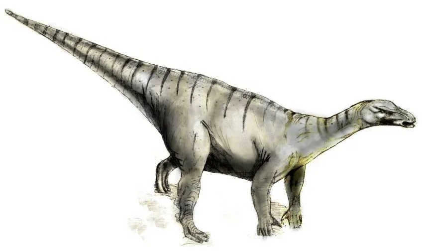 Read some awesome Iguanodon facts in this article.