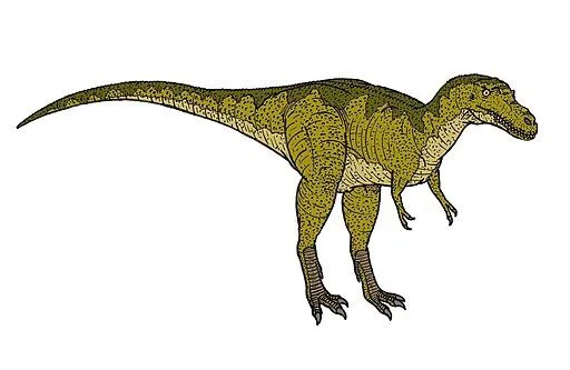 Neuquenraptors were bird-like dinosaurs.