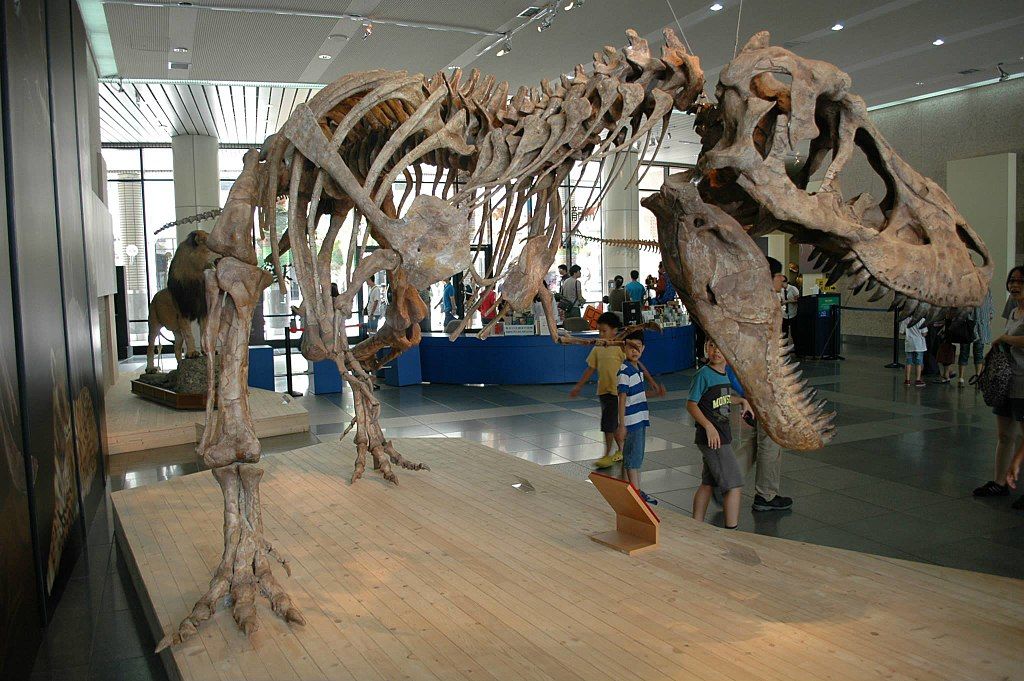 Shanshanosaurus facts help to learn about a new dinosaur species.