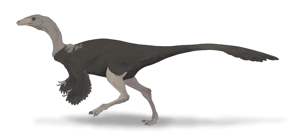 Your search for fascinating Archaeornithomimus facts ends here!