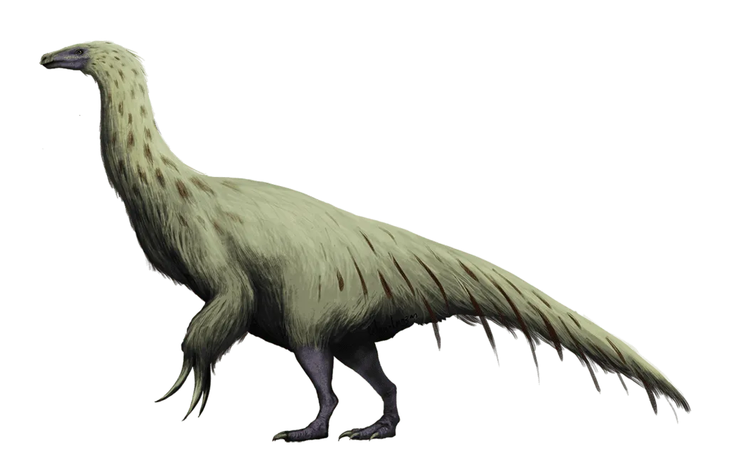 Let us head straight to these lovely and thrilling Therizinosaurus facts!
