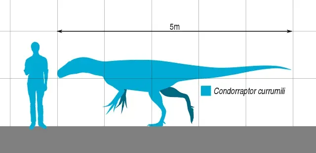 Xuanhanosaurus was a theropod dinosaur.