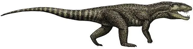 Lucianosaurs was named by Lucas and Hunt.