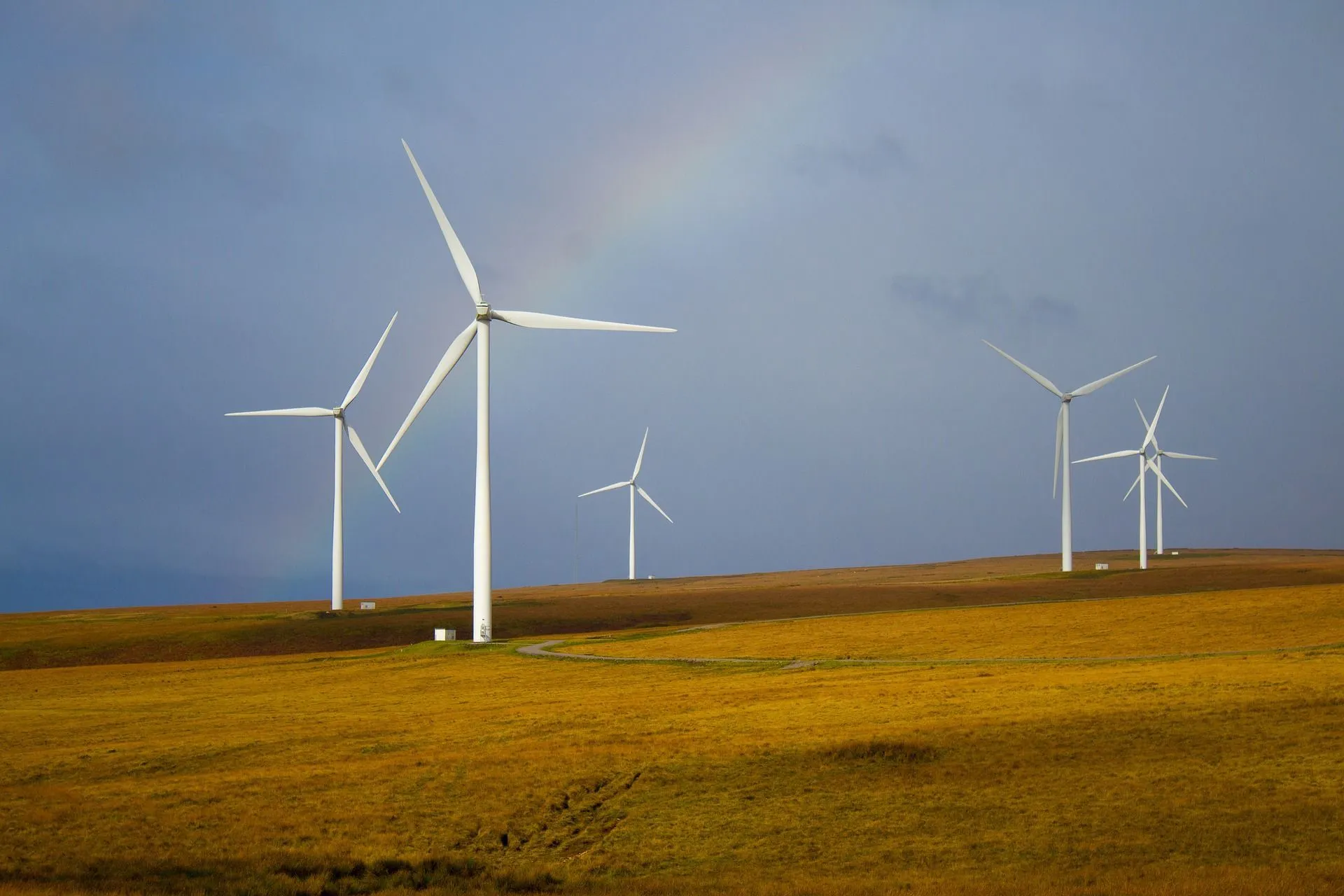 It is possible to tour the wind farm in Palm Springs.