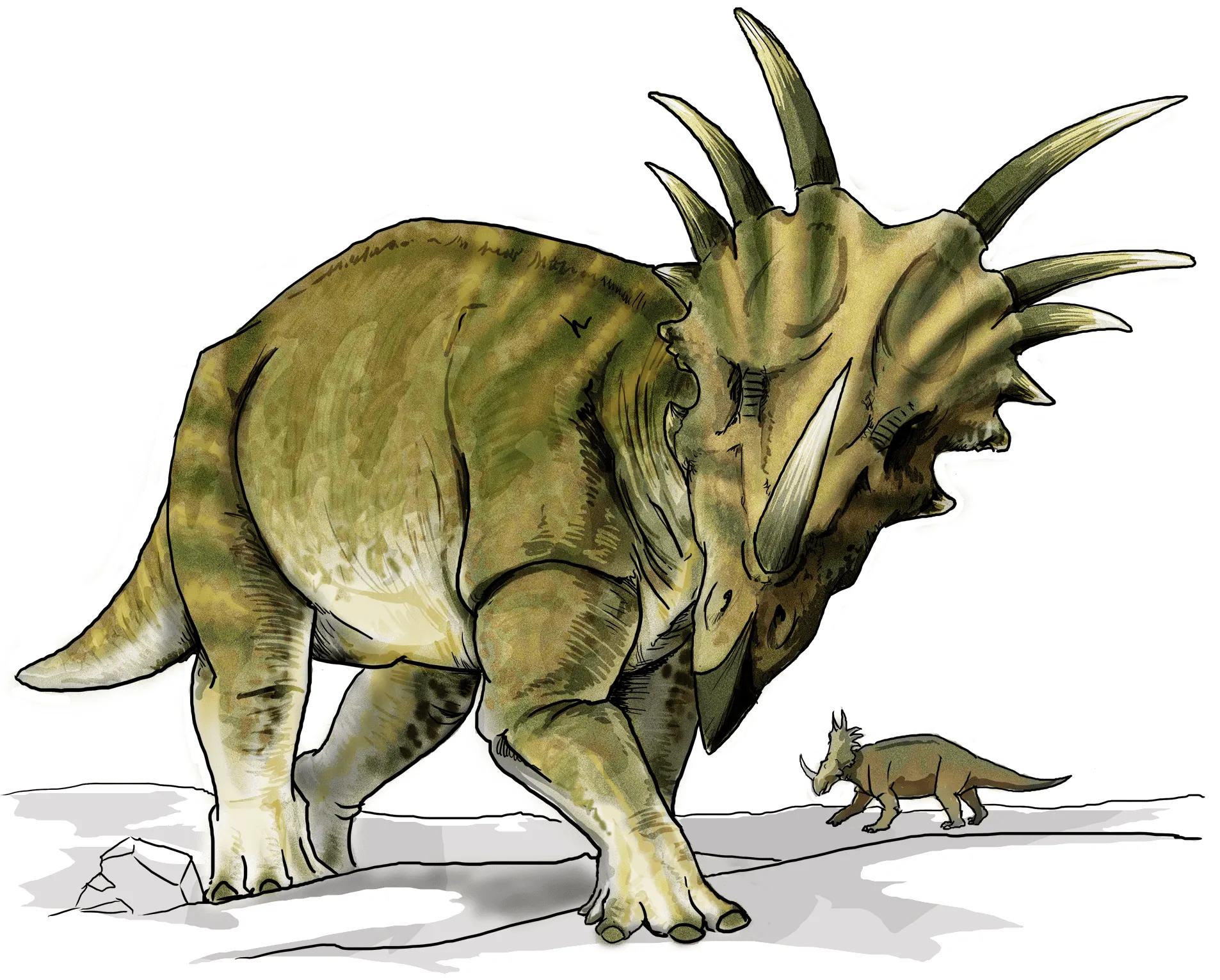Xenoposeidons had long necks.