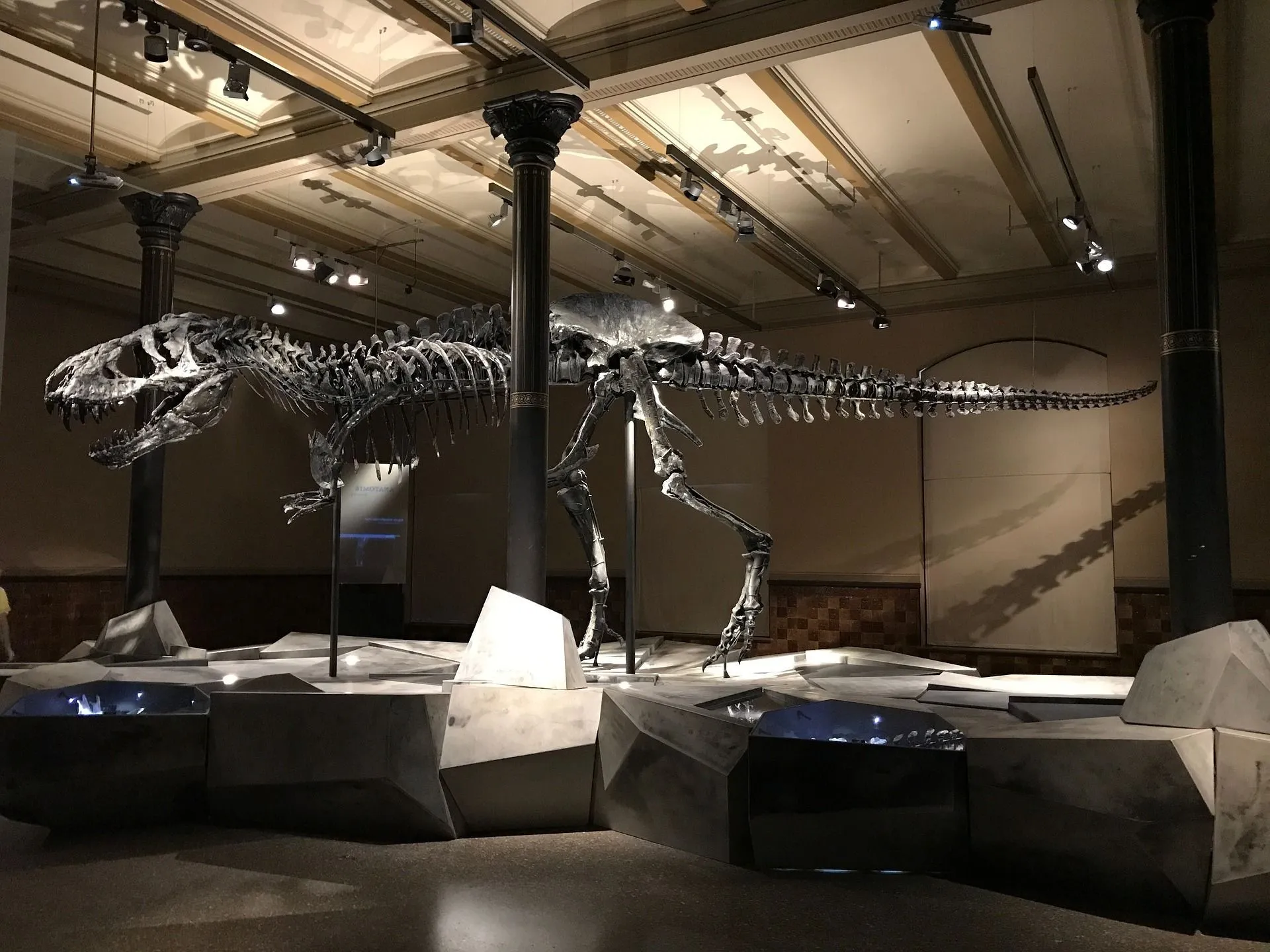 Paleontologists mostly use fossils records to learn about the past.