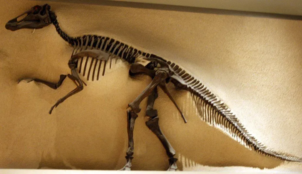 Edmontosaurus dinosaurs had tiny spots all over their bodies.