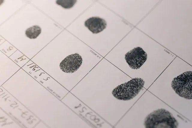 Human fingerprints are precise, nearly unique, difficult to modify, and long-lasting, making them ideal for use as a long-term marker of human identification.