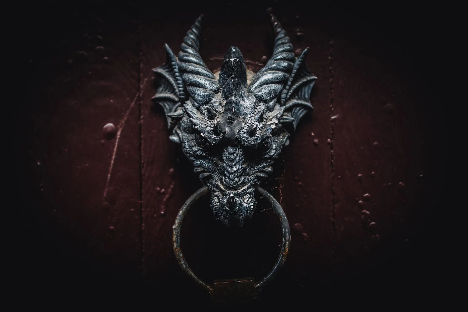 Dragon shaped door handle