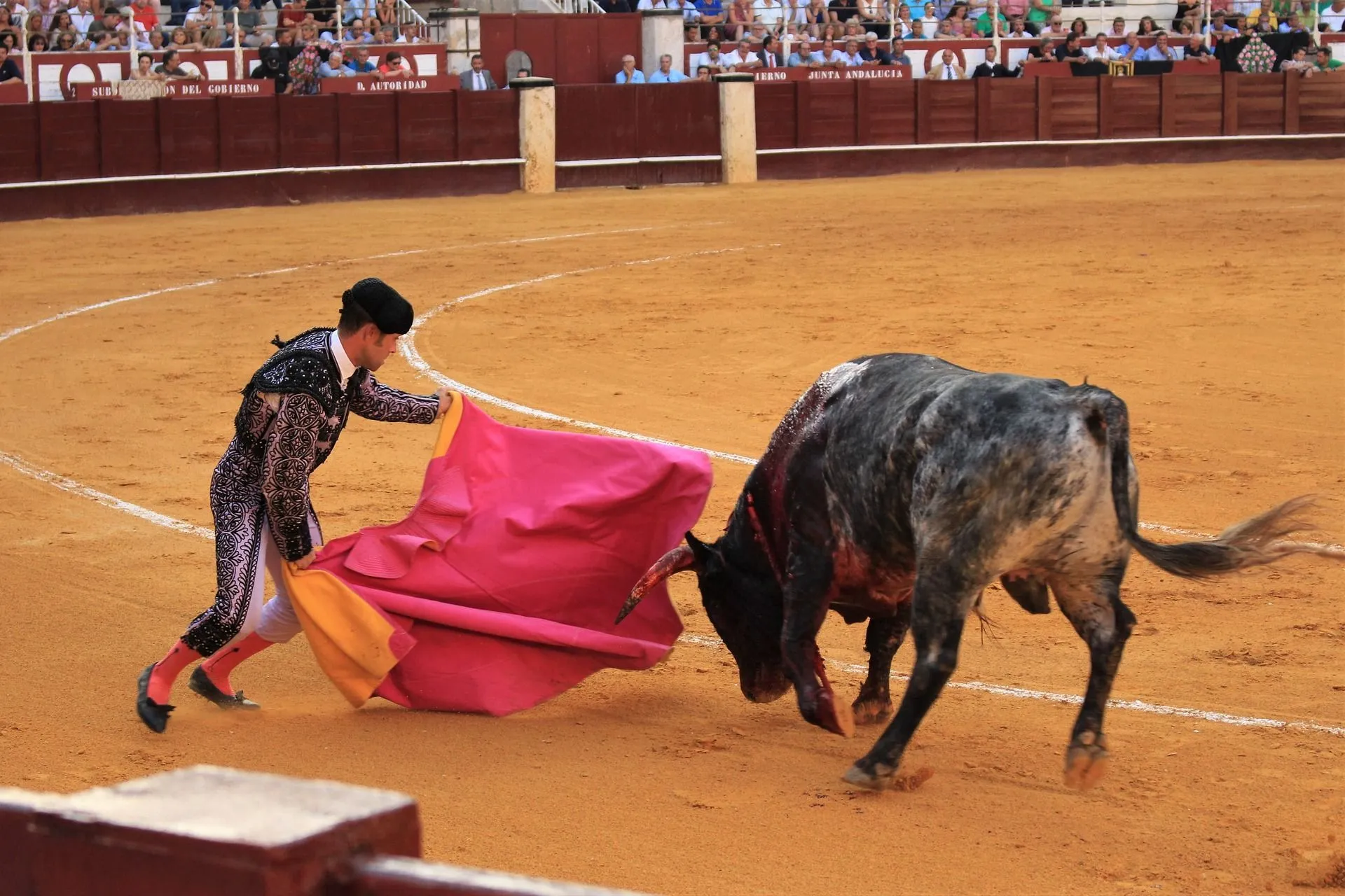 Mens Bullfighter Spanish Matador Mexican Bull Fighter Cuban Costume All Sizes