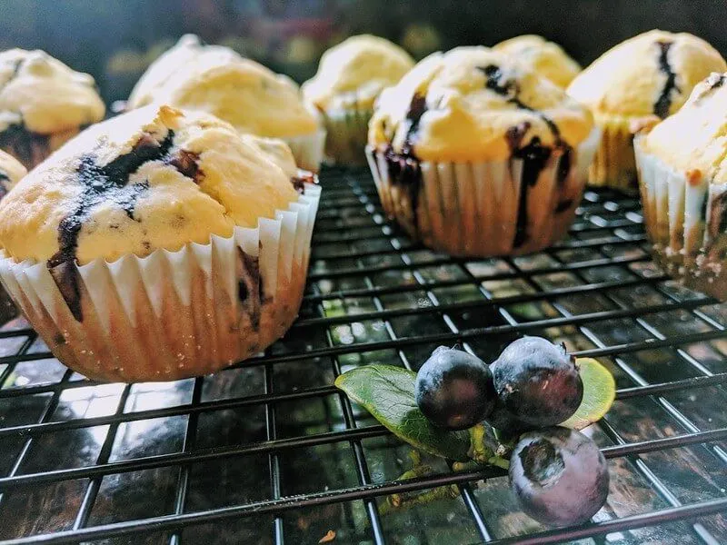 muffin recipe for toddlers