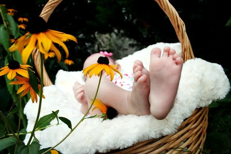 Baby in basket