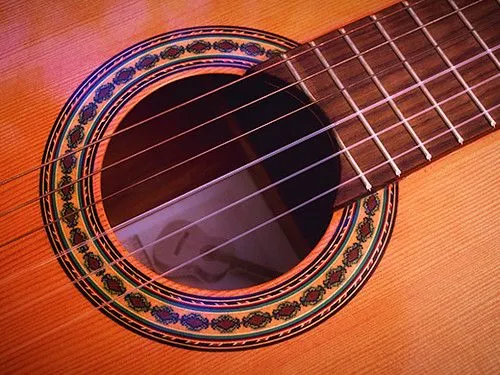 Guitar