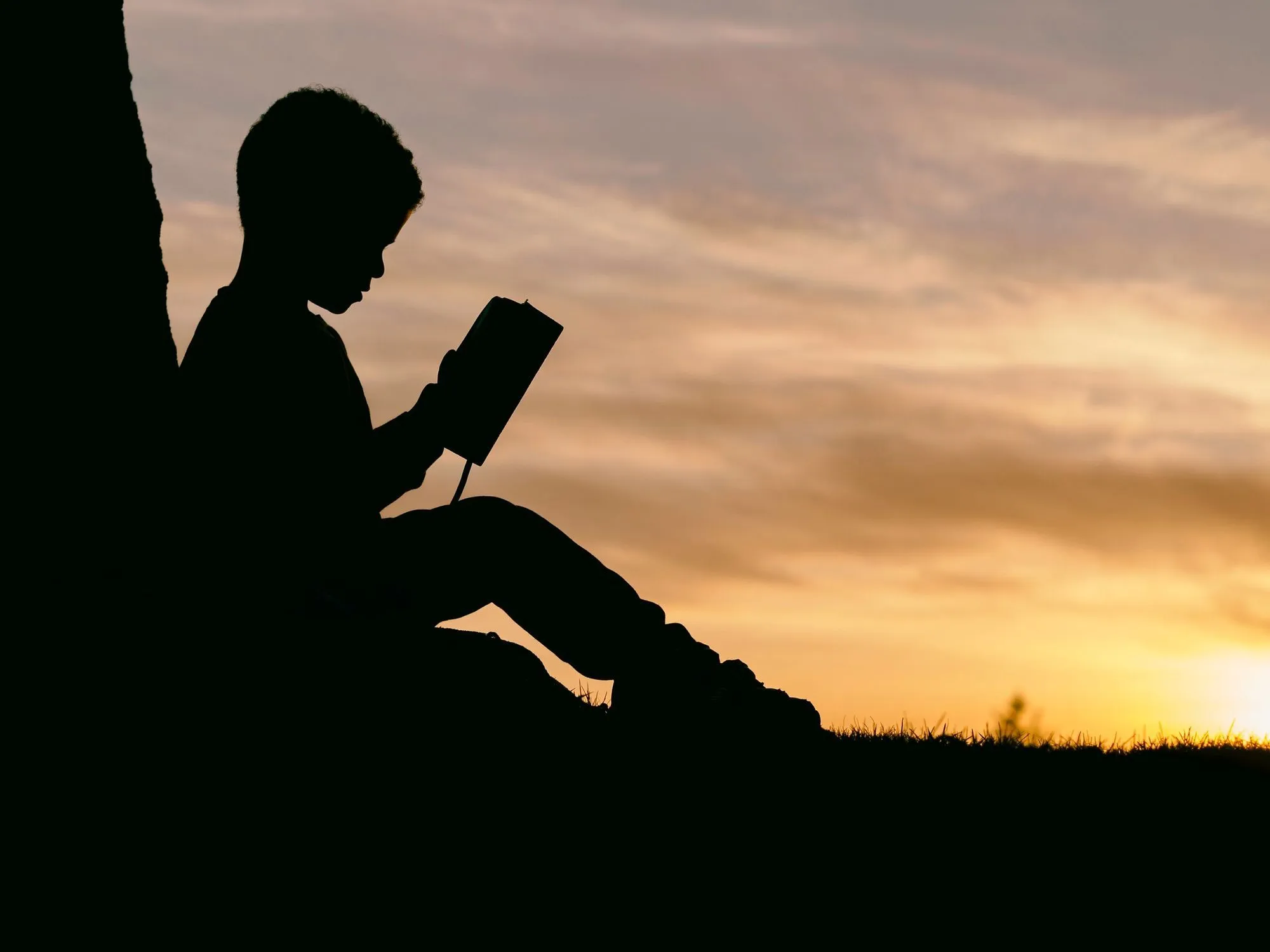 boy reading silhouetted against the sunset