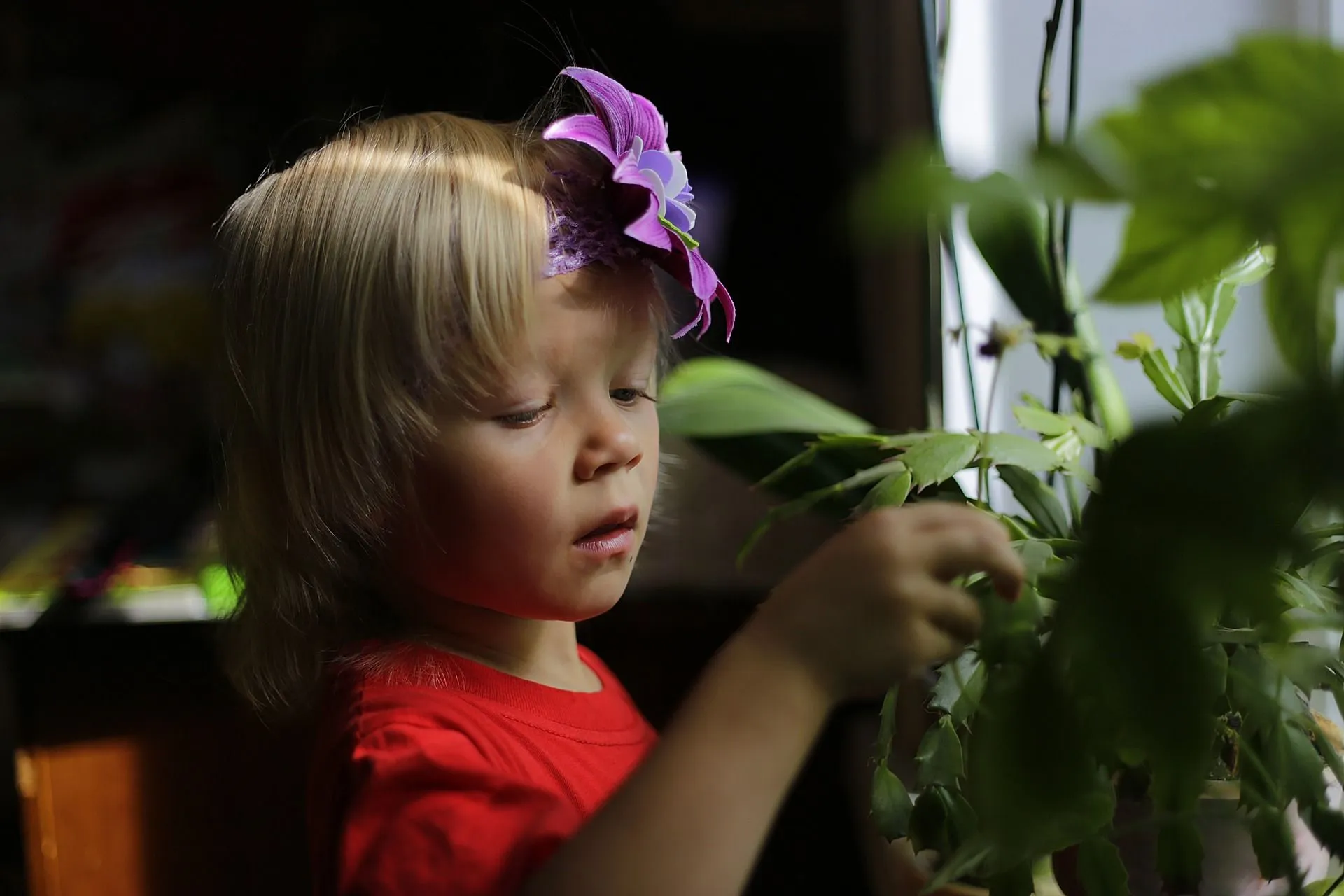 little boy with purple flower in his hair looking at plants