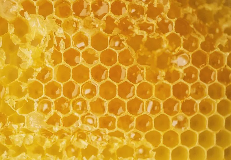 Honeycomb