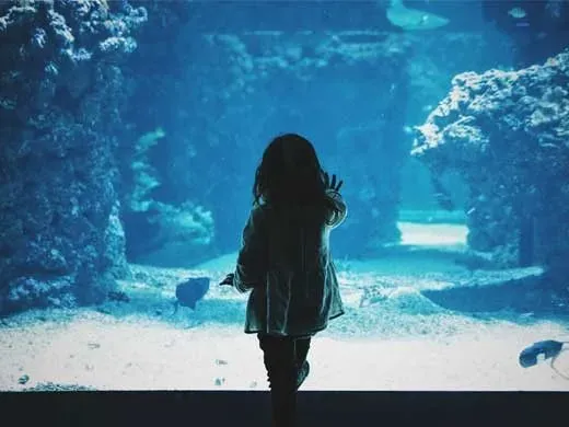 Girl placing hand on huge fish tank 