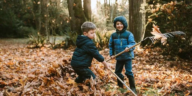 Boys playing in a forest.