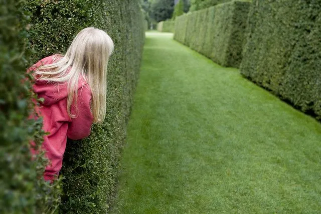 Young girl with blonde hair scoping out her next move in a grass maze