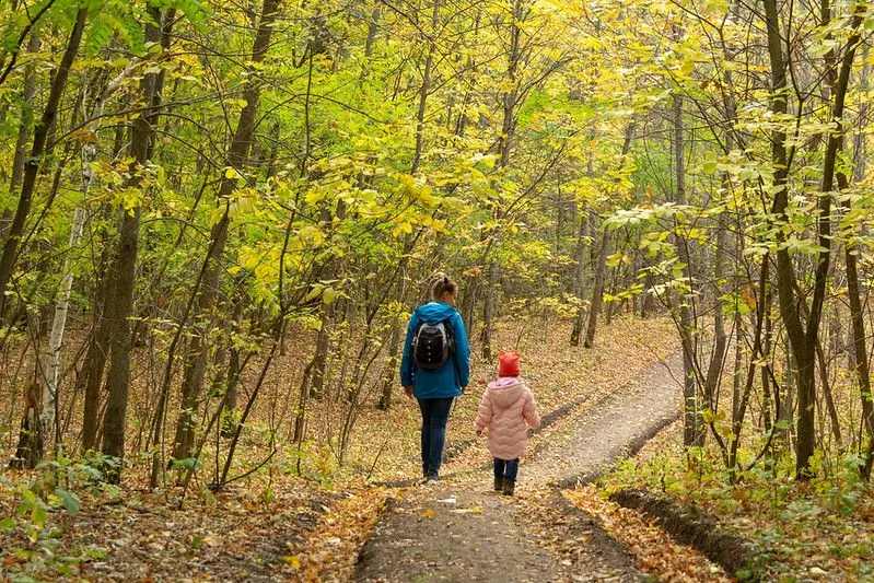 Child and parent walking a wood path.