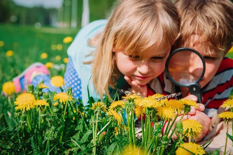 Children looking at flowers