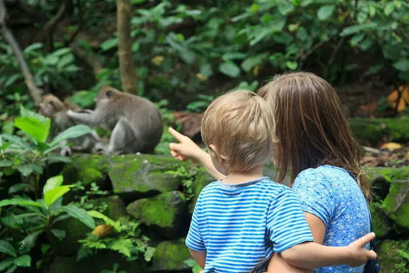 A Child And Parent Seeing Monkeys At The Zoo