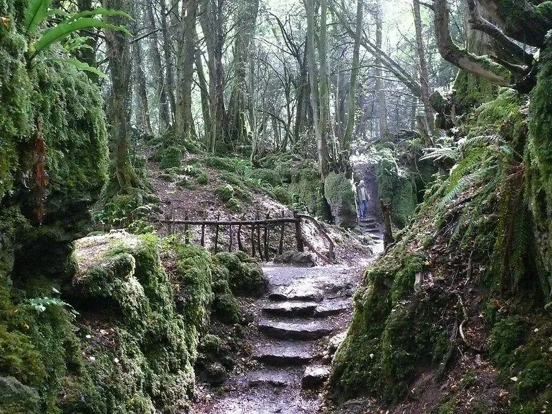 Puzzlewood in Forest of Dean