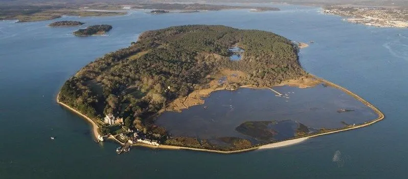 Brownsea Island