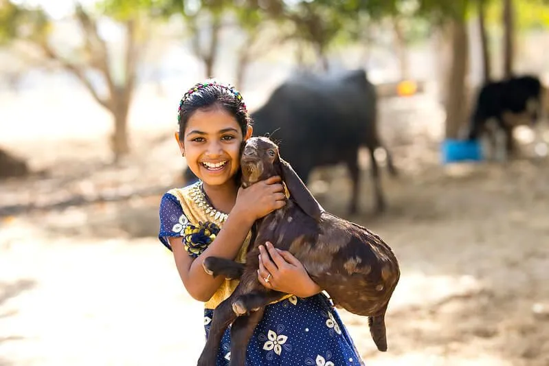 Girl making goat jokes and goat one-liners