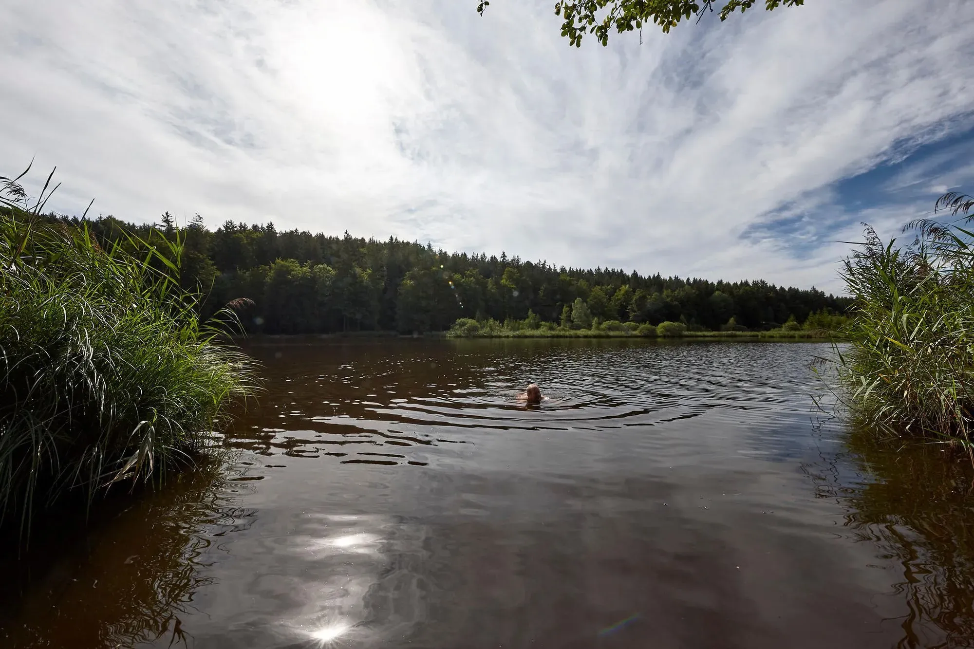 A man participating in wild swimming