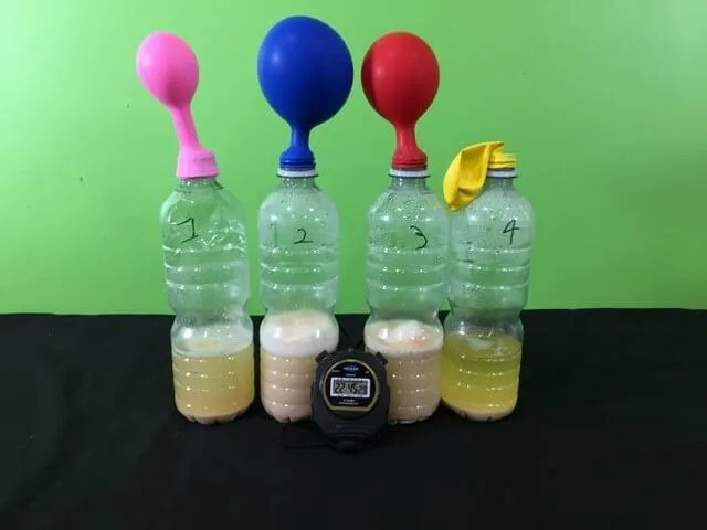 Is Yeast Alive Experiment by Fizzics Education
