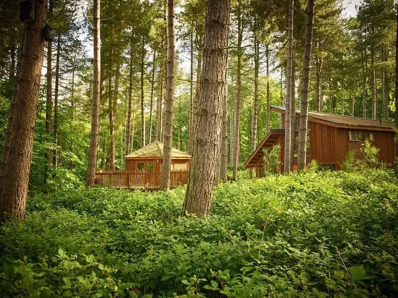 Lodges in Sherwood Forest for family holidays with teenagers