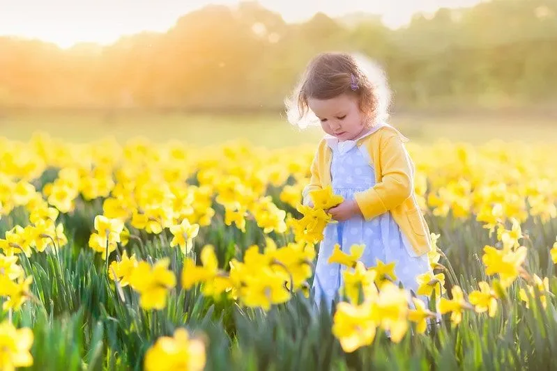 Toddler girl with a girls' name beginning with E playing in daffodils.