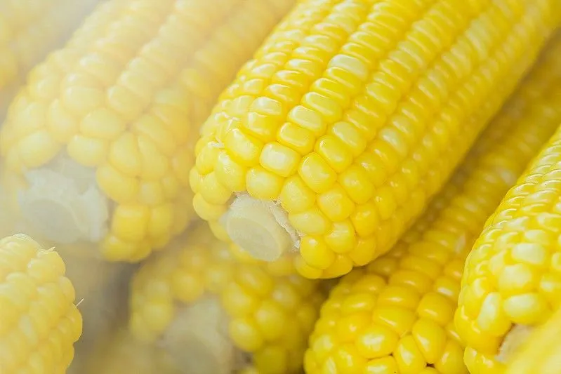 Sweetcorn for salads your kids might actually eat.