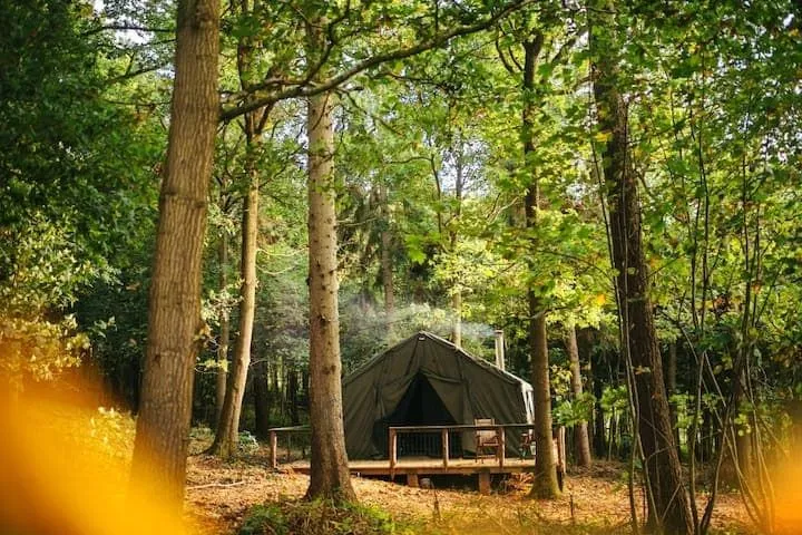 Luxury tent in the woods at The General's Hideout.