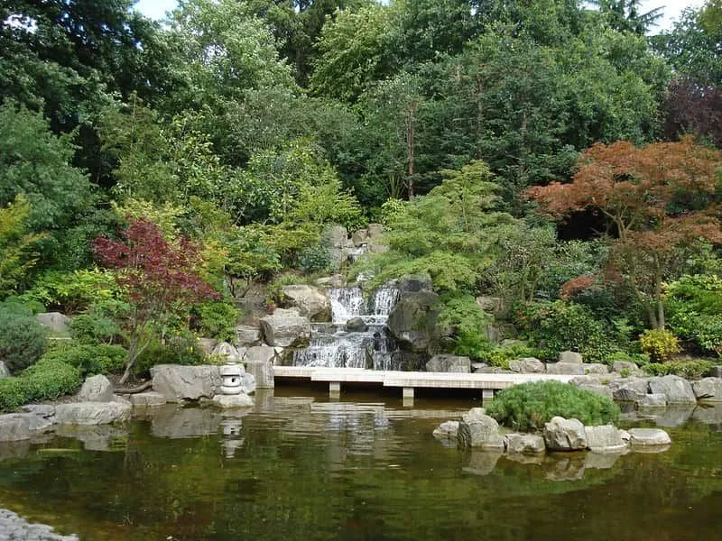 The peaceful Japanese garden at Holland Park.