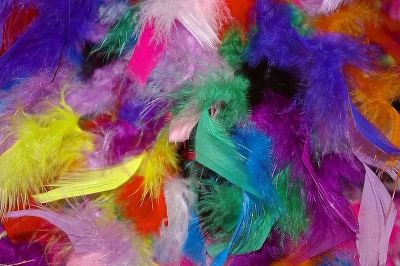 Colourful Feathers for Craft Making 