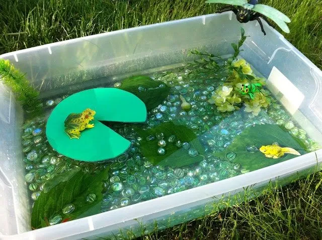 Large tub filled with water, glass marbles, lily pad and toy frog making a sensory bin.