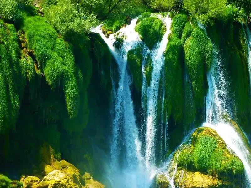 A lush green waterfall