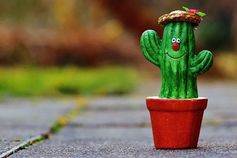 A funny cactus in a pot with a red nose and wearing a straw hat.