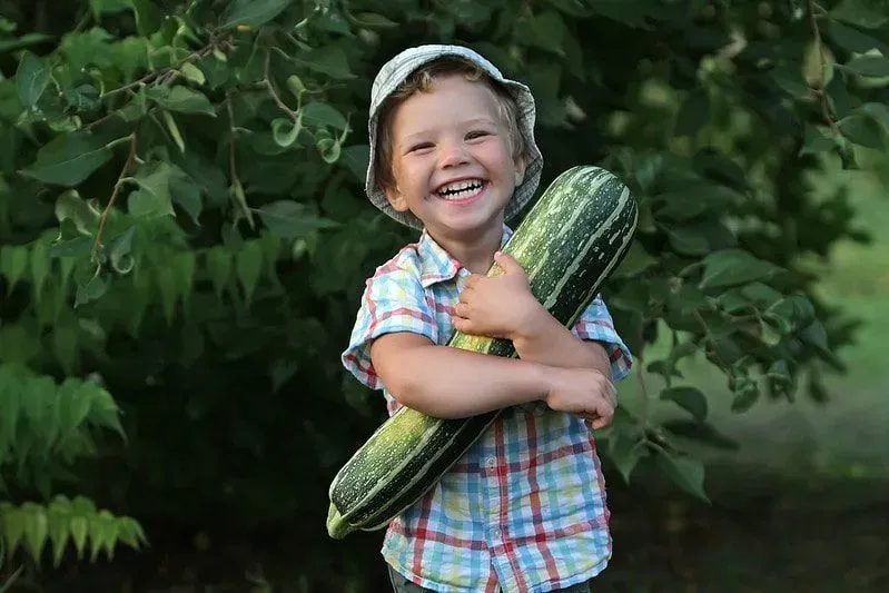 Little boy smiling and laughing while holding a big marrow.