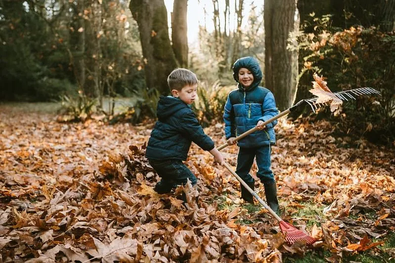 Two boys raking the autumn leaves in a park. 